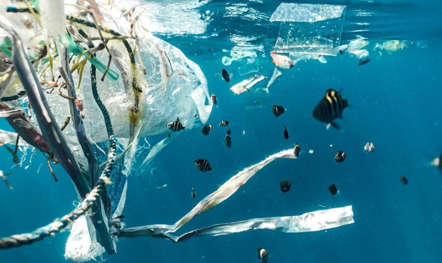 Grøn emballage og plast